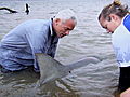 River Monsters: How to Catch a Bull Shark