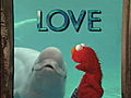 Elmo And Whale: Love