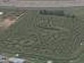 Good Question: How Are Corn Mazes Made?