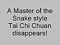 Snake Style Tai Chi Chuan: a master disappears!