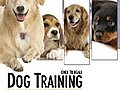 Dog Training: The Gentle Effective Method