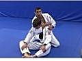 Beginning Brazilian Jiu Jitsu - Rear Naked Choke