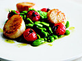 Grilled Scallops with Fava Beans and Roasted Tomatoes