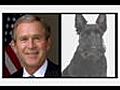 Dogs 101: George W Bush