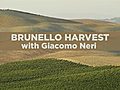 Neri Brunello Hvst