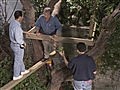 Ron Hazelton’s House Calls - How to Build a Treehouse