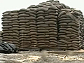 Rain worsens Punjab’s grain mess