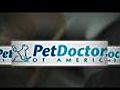 Jacksonville and Jacksonville Beach Animal Hospital - Pet Doctors of America