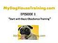 Dog House Training - Start with Basic Obedience Training