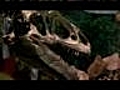 Pittsburgh Museum Reinvents Dinosaur Exhibit