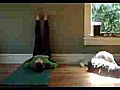 Level 2 :: Legs up the Wall 1 :: Michelle Anderson Yoga