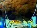 奧巴馬稱漏油嚴重影響經濟　促英國石油盡速賠償