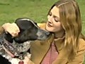 Adopt-a-Pet.com Pet Show â Drew Barrymore