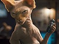 Comme chiens et chats - La Revanche de Kitty Galore - Bande-annonce