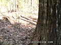 Guy Eaten by Creature While Reading Book -- Yum