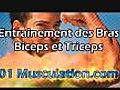Musculation des Bras - Musculation Naturelle des Biceps et Triceps