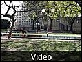 Dogs in the Park - Buenos Aires, Argentina