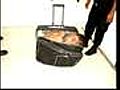Mexico suitcase jailbreak bid