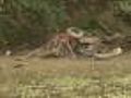 Group Fights To Get Part Of Merrimack Cleaned Up