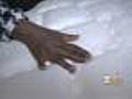 Neal: Tips On How To Get Rid Of Bed Bugs