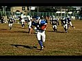 Stingers 2009 PV
