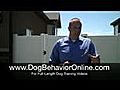 Dog Training: Leash Training A Dog