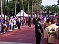 Florida Gators take part in Gator Walk