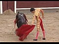 Del Álamo,  un novillero con hambre de ser torero
