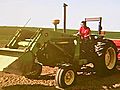 HS Girl May Revolutionize Wheat Farming