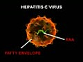 Hepatitis C Infection - 3D Medical Animation