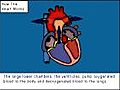 Learn how the Heart Works