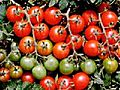 Heirloom Tomatoes