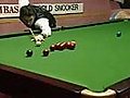 Amazing snooker shots!