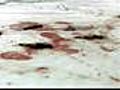 Espeluznantes imágenes de la matanza de focas de Canadá