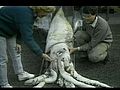 Moment of Zen - Giant Squid Fondling