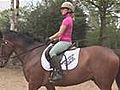 Horse Riding: How To Keep In A Straight Line