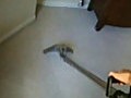 Carpet Cleaning Cooper City 954-374-7607