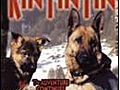 Finding Rin Tin Tin