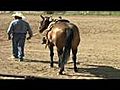 Sandman - Heeling Horse,  Heading Horse