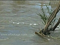 FLOOD SCENES - AUSTRALIA - HD