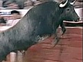 Bullfight chaos as bull jumps ring