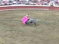 Don Bull Productions Brings Bloodless Bullfighting to Las...