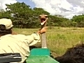 Tourists anger ostrich