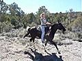 Riding Away On A Tennessee Walking Horse From Dream Walker Ranch