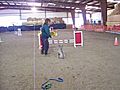 Raoudi&#039;s first agility trial