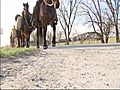 Couple Treks Cross-Country On Horseback