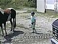 Kid Learns the Hard Way Not To Stand Behind a Horse