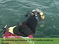 Greenpeace, boletín informativo íntegro