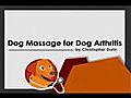 Dog Massage for Dog Arthritis