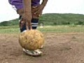 South Africa’s local granny football stars